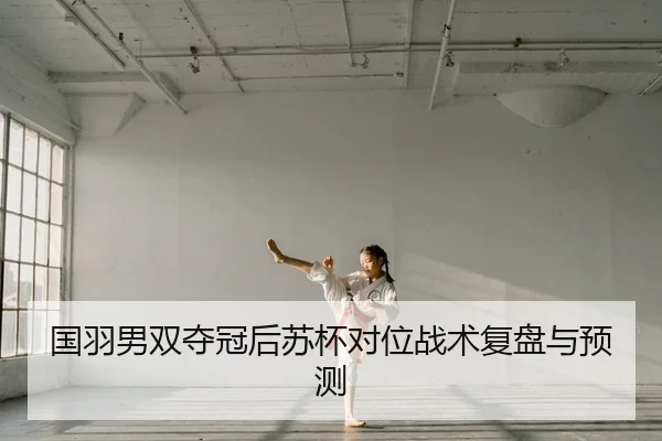 guo-yu-nan-shuang-duo-guan-hou-su-bei-dui-wei-zhan-shu-fu-pan-yu-yu-ce-2-863.jpg